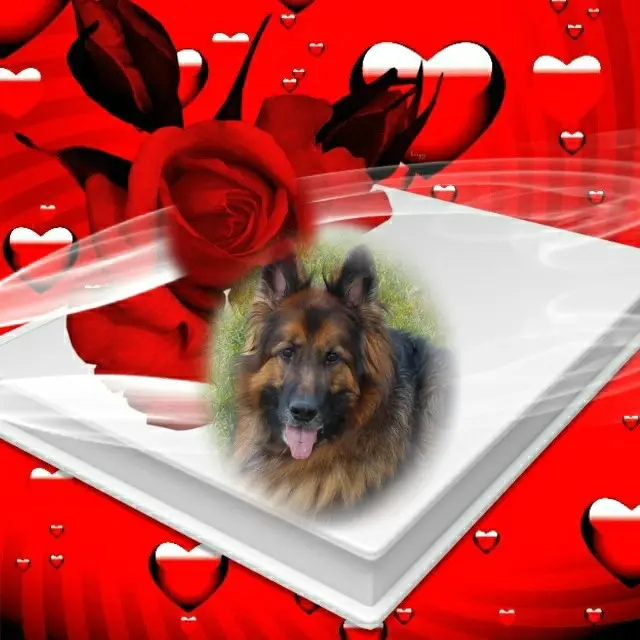 Condolence image of Dzień Dobry❤️❤️❤️mój Ukochany❤️❤️❤️❤️❤️❤️❤️Misieńku❤️❤️❤️