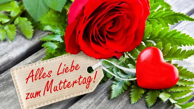 Condolence image of Sonntagsrosen für den wunderbaren Sternenprinz Misiu