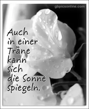 Condolence image of Kathrin mit Susi im Herzen