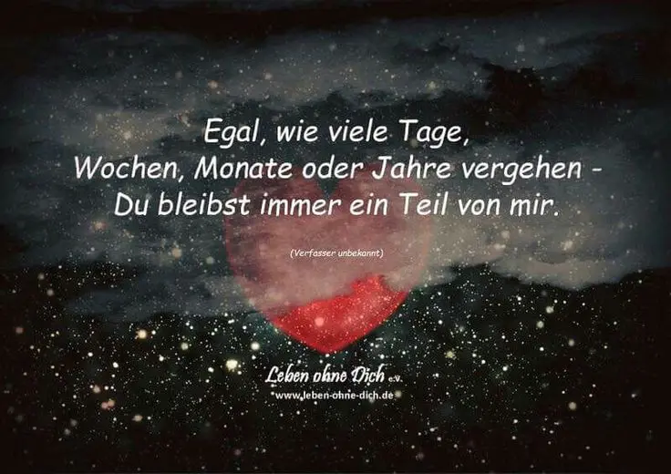 Condolence image of Für das Sternchen Misiu ❤️
