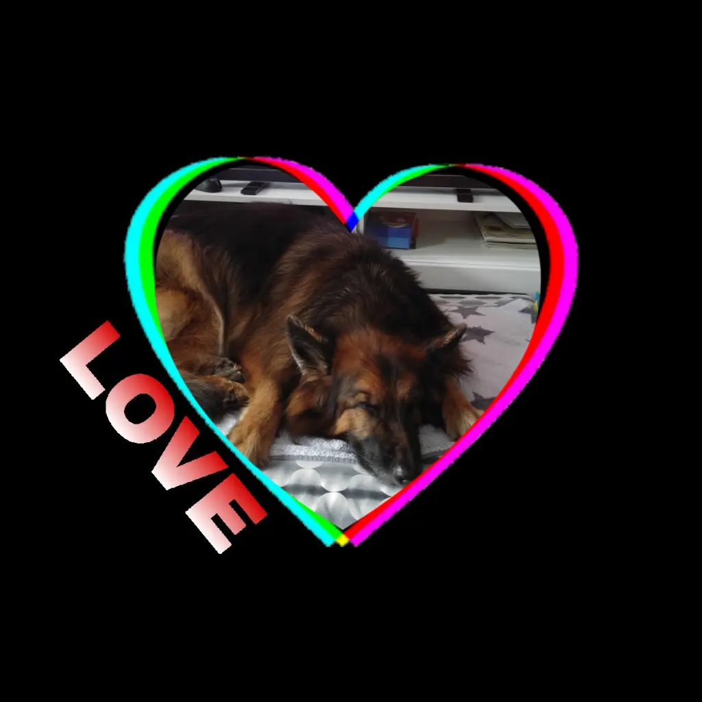 Condolence image of Dobrej Nocki❤️❤️❤️❤️❤️❤️mój Ukochany❤️❤️❤️❤️❤️❤️Misieńku❤️❤️❤️