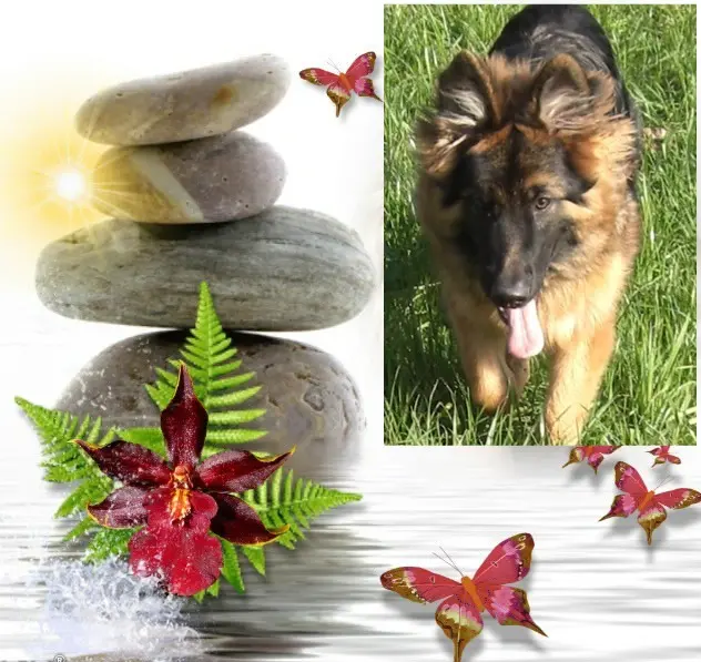 Condolence image of Dzień Dobry❤️❤️❤️mój Ukochany❤️❤️❤️❤️❤️❤️❤️Misieńku❤️❤️❤️