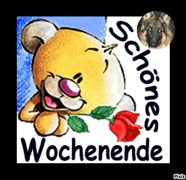 Condolence image of Tanja mit Timmy im Herzen 