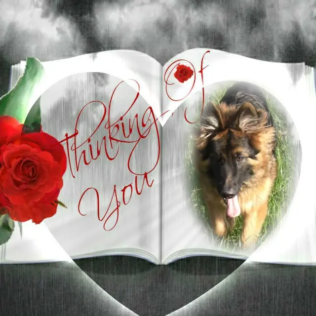 Condolence image of Dzień Dobry❤️❤️❤️mój Ukochany❤️❤️❤️❤️❤️❤️❤️Misieńku❤️❤️❤️