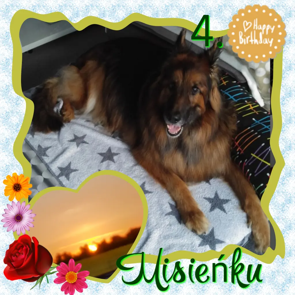 Condolence image of ❤️Eike und Edeltraud mit unseren Sternchen tief im Herzen ❤️ ❤️ ❤️ ❤️ ❤️ ❤️ ❤️ 