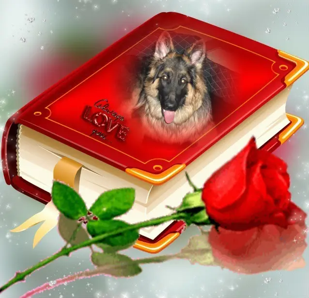Condolence image of Dzień Dobry❤️❤️❤️mój Ukochany❤️❤️❤️❤️❤️❤️❤️Misieńku❤️❤️❤️
