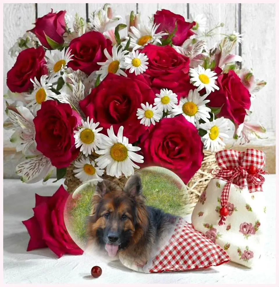 Condolence image of Dzień Dobry❤️❤️❤️mój Ukochany❤️❤️❤️❤️❤️❤️❤️Misieńku❤️❤️❤️
