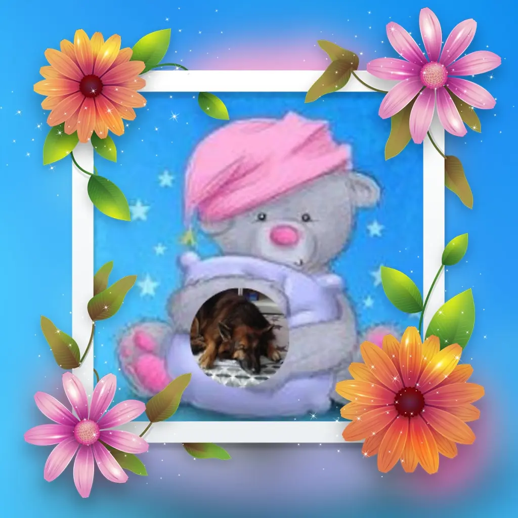 Condolence image of Dobrej Nocki❤️❤️❤️❤️❤️❤️mój Ukochany❤️❤️❤️❤️❤️❤️Misieńku❤️❤️❤️