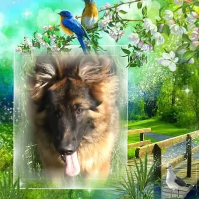 Condolence image of Dzień Dobry❤️❤️❤️mój Ukochany❤️❤️❤️❤️❤️❤️❤️Misieńku❤️❤️❤️