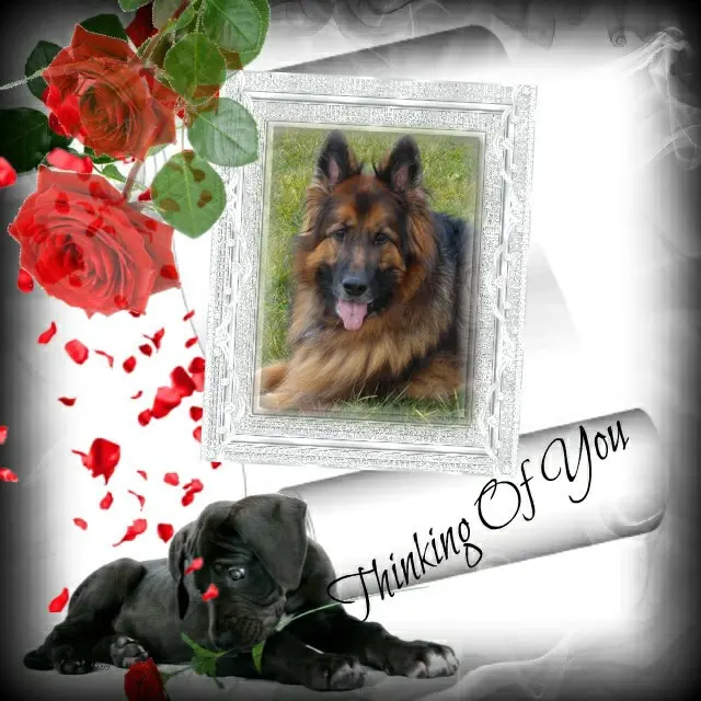 Condolence image of Dzień Dobry❤️❤️❤️mój Ukochany❤️❤️❤️❤️❤️❤️❤️Misieńku❤️❤️❤️