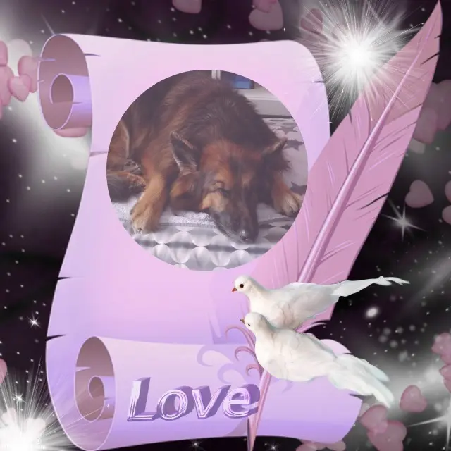 Condolence image of Dobrej Nocki❤️❤️❤️❤️❤️❤️mój Ukochany❤️❤️❤️❤️❤️❤️Misieńku❤️❤️❤️