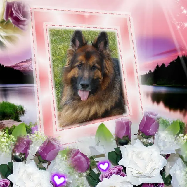 Condolence image of Dzień Dobry❤️❤️❤️mój Ukochany❤️❤️❤️❤️❤️❤️❤️Misieńku❤️❤️❤️
