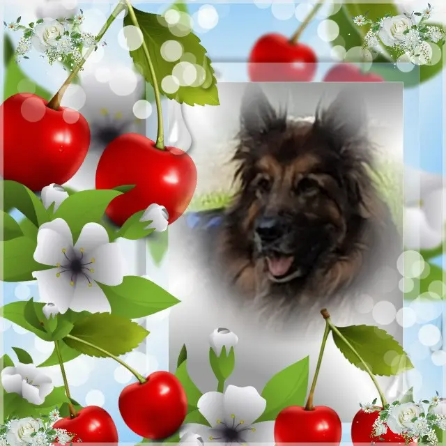 Condolence image of Dzień Dobry❤️❤️❤️mój Ukochany❤️❤️❤️❤️❤️❤️❤️Misieńku❤️❤️❤️