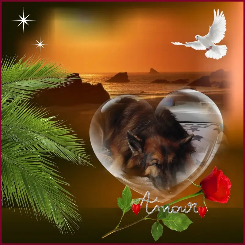 Condolence image of Dobrej Nocki❤️❤️❤️❤️❤️❤️mój Ukochany❤️❤️❤️❤️❤️❤️Misieńku❤️❤️❤️