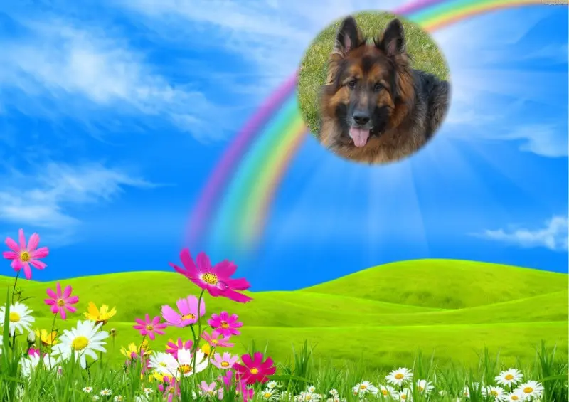 Condolence image of Dzień Dobry❤️❤️❤️mój Ukochany❤️❤️❤️❤️❤️❤️❤️Misieńku❤️❤️❤️