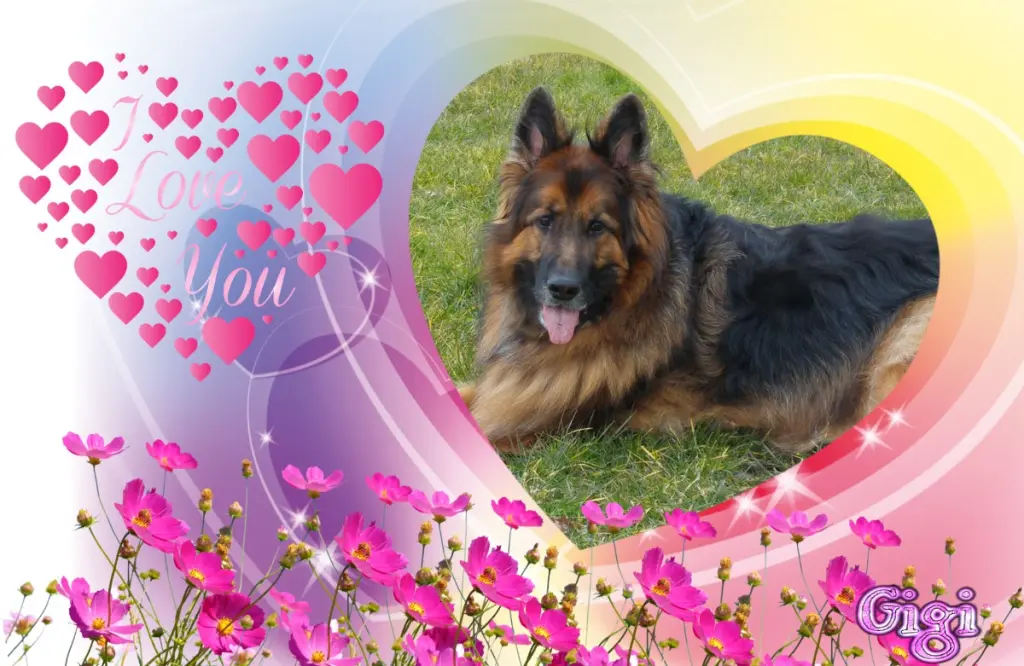 Condolence image of Dzień Dobry❤️❤️❤️mój Ukochany❤️❤️❤️❤️❤️❤️❤️Misieńku❤️❤️❤️