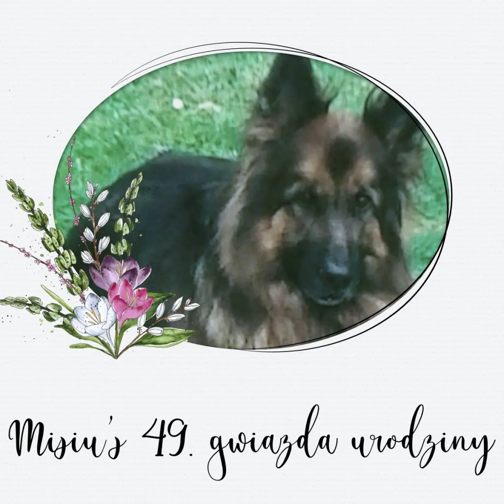 Condolence image of Sabine mit Kaspar tief im Herzen
