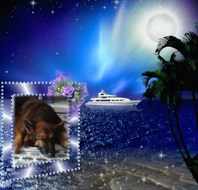 Condolence image of Dobrej Nocki❤️❤️❤️❤️❤️❤️mój Ukochany❤️❤️❤️❤️❤️❤️Misieńku❤️❤️❤️