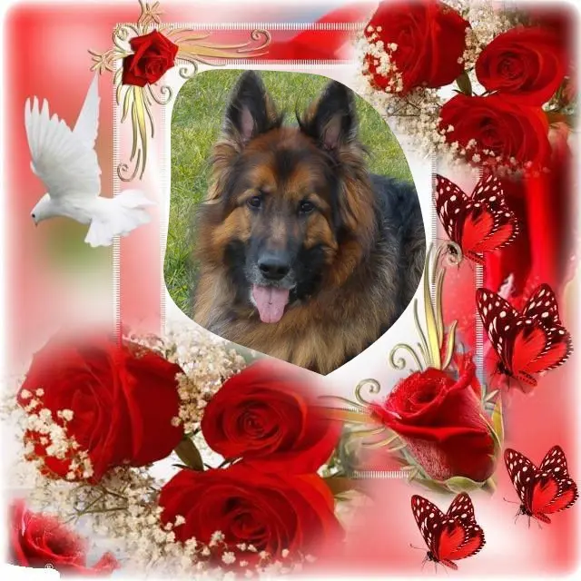Condolence image of Dzień Dobry❤️❤️❤️mój Ukochany❤️❤️❤️❤️❤️❤️❤️Misieńku❤️❤️❤️