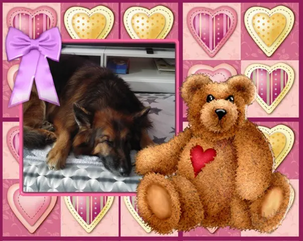 Condolence image of Dobrej Nocki❤️❤️❤️❤️❤️❤️mój Ukochany❤️❤️❤️❤️❤️❤️Misieńku❤️❤️❤️
