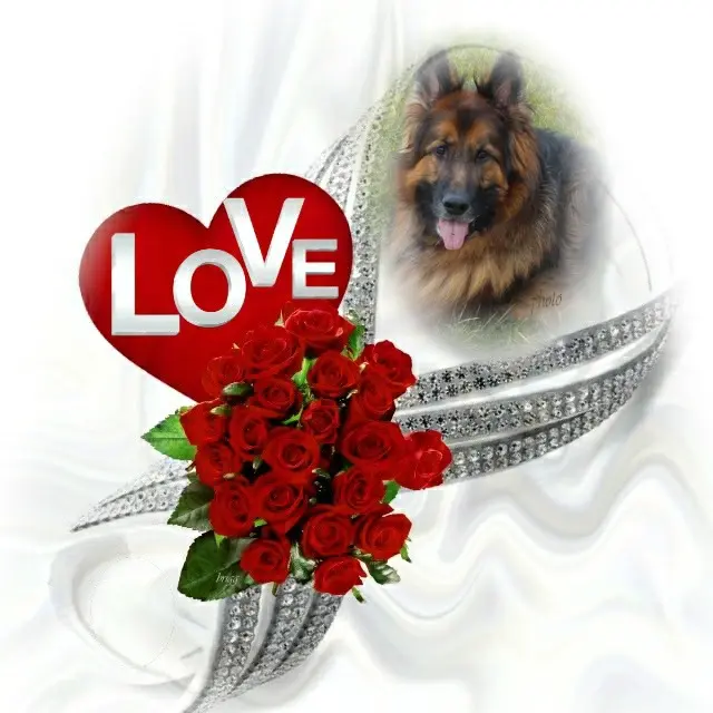 Condolence image of Dzień Dobry❤️❤️❤️mój Ukochany❤️❤️❤️❤️❤️❤️❤️Misieńku❤️❤️❤️