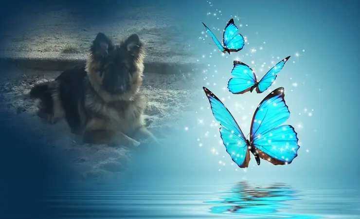 Condolence image of Dzień Dobry❤️❤️❤️mój Ukochany❤️❤️❤️❤️❤️❤️❤️Misieńku❤️❤️❤️