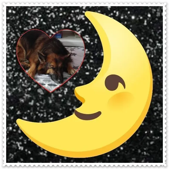 Condolence image of Dobrej Nocki❤️❤️❤️❤️❤️❤️mój Ukochany❤️❤️❤️❤️❤️❤️Misieńku❤️❤️❤️
