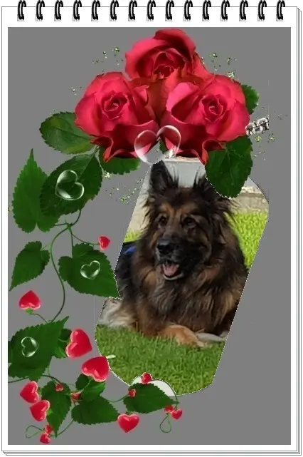 Condolence image of Dzień Dobry❤️❤️❤️mój Ukochany❤️❤️❤️❤️❤️❤️❤️Misieńku❤️❤️❤️