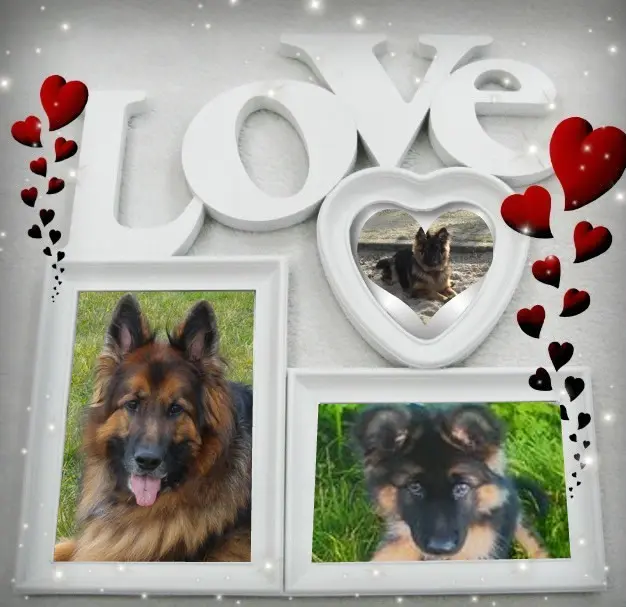Condolence image of Dzień Dobry❤️❤️❤️mój Ukochany❤️❤️❤️❤️❤️❤️❤️Misieńku❤️❤️❤️