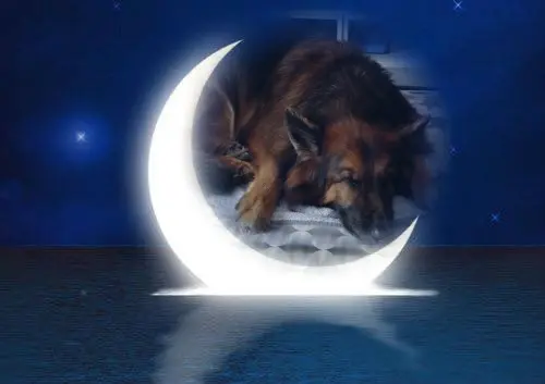 Condolence image of Dobrej Nocki❤️❤️❤️❤️❤️❤️mój Ukochany❤️❤️❤️❤️❤️❤️Misieńku❤️❤️❤️