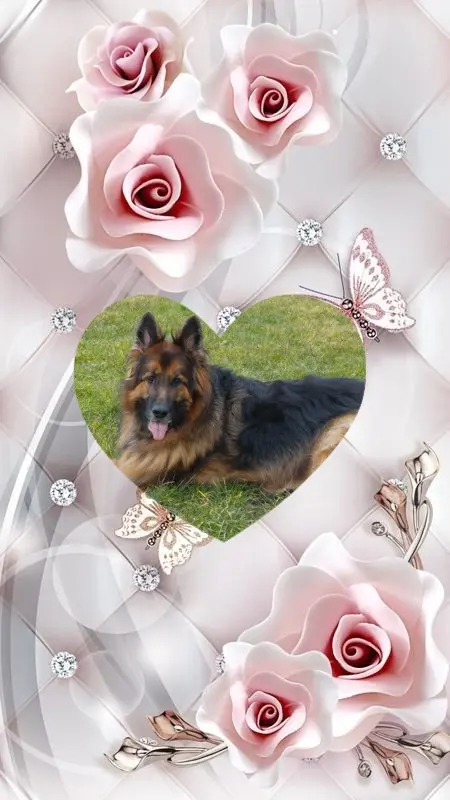 Condolence image of Dzień Dobry❤️❤️❤️mój Ukochany❤️❤️❤️❤️❤️❤️❤️Misieńku❤️❤️❤️