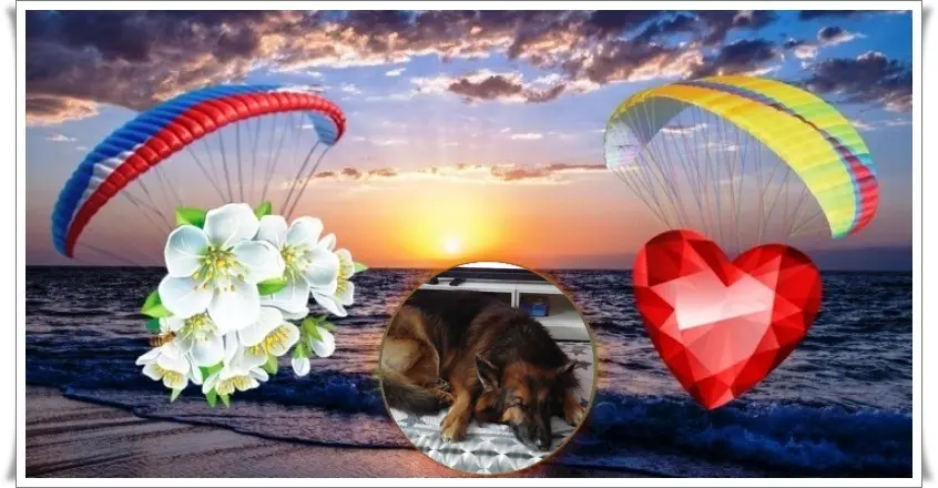 Condolence image of Dobrej Nocki❤️❤️❤️❤️❤️❤️mój Ukochany❤️❤️❤️❤️❤️❤️Misieńku❤️❤️❤️