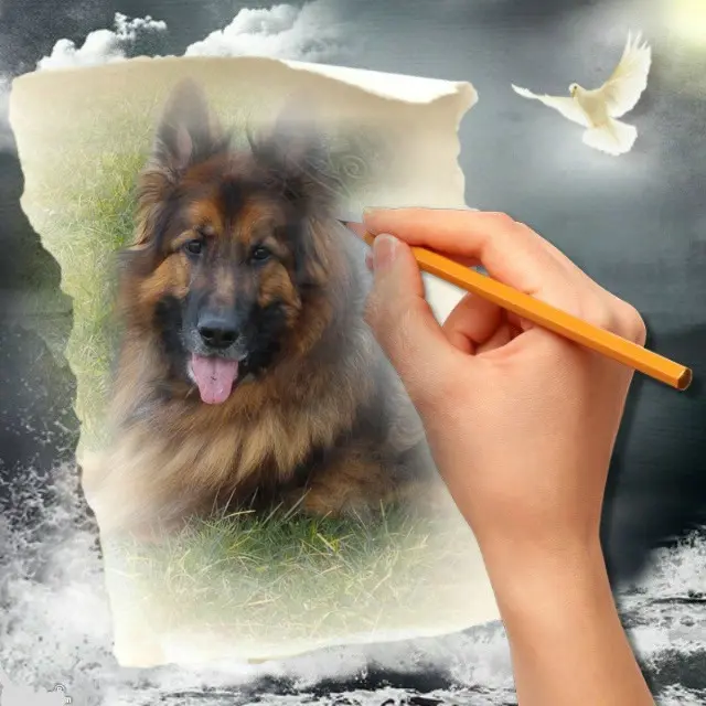 Condolence image of Kochany❤️❤️❤️Misiu❤️❤️❤️o