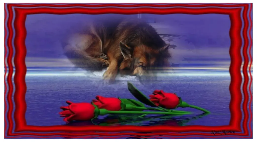 Condolence image of Dobrej Nocki❤️❤️❤️❤️❤️❤️mój Ukochany❤️❤️❤️❤️❤️❤️Misieńku❤️❤️❤️