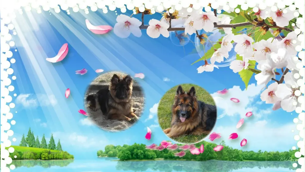 Condolence image of Dzień Dobry❤️❤️❤️mój Ukochany❤️❤️❤️❤️❤️❤️❤️Misieńku❤️❤️❤️