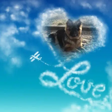 Condolence image of Dzień Dobry❤️❤️❤️mój Ukochany❤️❤️❤️❤️❤️❤️❤️Misieńku❤️❤️❤️