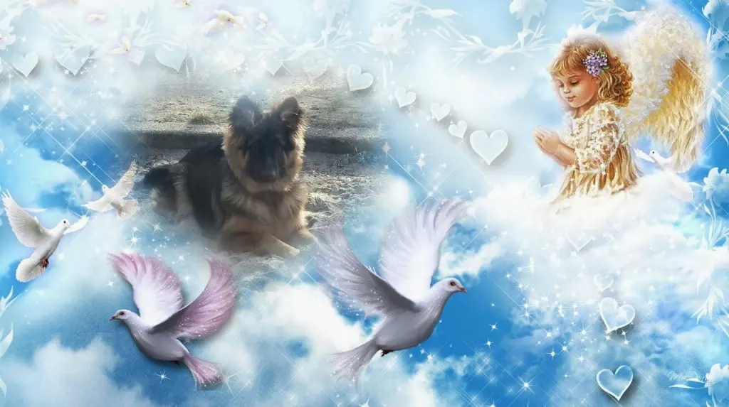 Condolence image of Dobry Wieczór❤️❤️❤️Mińku❤️❤️❤️