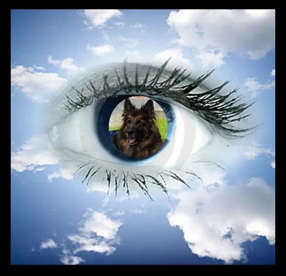 Condolence image of Dzień Dobry❤️❤️❤️mój Ukochany❤️❤️❤️❤️❤️❤️❤️Misieńku❤️❤️❤️