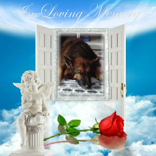 Condolence image of Dobrej Nocki❤️❤️❤️❤️❤️❤️mój Ukochany❤️❤️❤️❤️❤️❤️Misieńku❤️❤️❤️