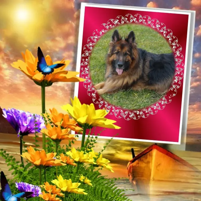 Condolence image of Dzień Dobry❤️❤️❤️mój Ukochany❤️❤️❤️❤️❤️❤️❤️Misieńku❤️❤️❤️