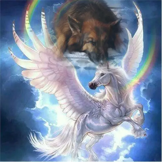 Condolence image of Dobrej Nocki❤️❤️❤️❤️❤️❤️mój Ukochany❤️❤️❤️❤️❤️❤️Misieńku❤️❤️❤️