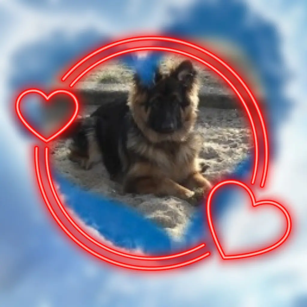 Condolence image of Dzień Dobry❤️❤️❤️mój Ukochany❤️❤️❤️❤️❤️❤️❤️Misieńku❤️❤️❤️