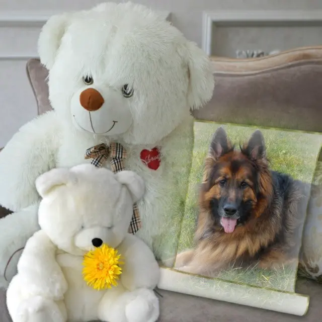 Condolence image of Dzień Dobry❤️❤️❤️mój Ukochany❤️❤️❤️❤️❤️❤️❤️Misieńku❤️❤️❤️