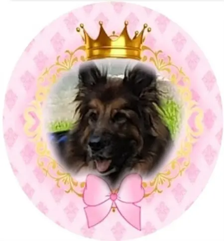 Condolence image of Dzień Dobry❤️❤️❤️mój Ukochany❤️❤️❤️❤️❤️❤️❤️Misieńku❤️❤️❤️