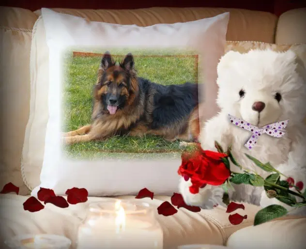 Condolence image of Dzień Dobry❤️❤️❤️mój Ukochany❤️❤️❤️❤️❤️❤️❤️Misieńku❤️❤️❤️