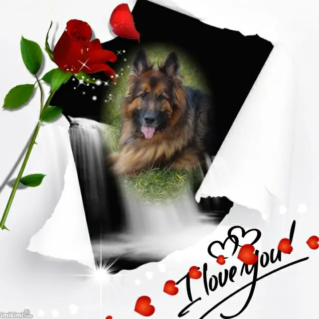 Condolence image of Dzień Dobry❤️❤️❤️mój Ukochany❤️❤️❤️❤️❤️❤️❤️Misieńku❤️❤️❤️