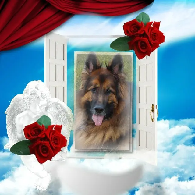 Condolence image of Dzień Dobry❤️❤️❤️mój Ukochany❤️❤️❤️❤️❤️❤️❤️Misieńku❤️❤️❤️