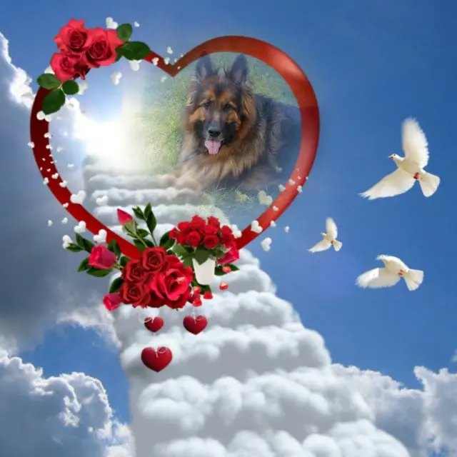 Condolence image of Dzień Dobry❤️❤️❤️mój Ukochany❤️❤️❤️❤️❤️❤️❤️Misieńku❤️❤️❤️