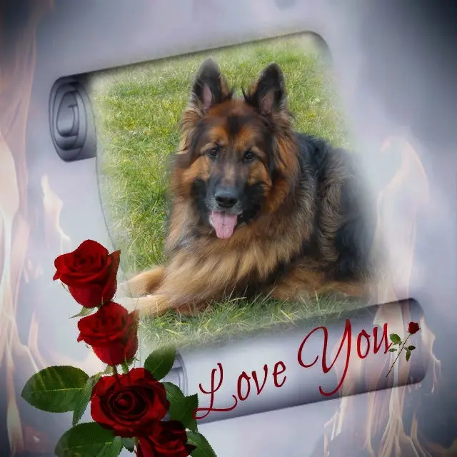 Condolence image of Dzień Dobry❤️❤️❤️mój Ukochany❤️❤️❤️❤️❤️❤️❤️Misieńku❤️❤️❤️