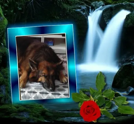 Condolence image of Dobrej Nocki❤️❤️❤️❤️❤️❤️mój Ukochany❤️❤️❤️❤️❤️❤️Misieńku❤️❤️❤️